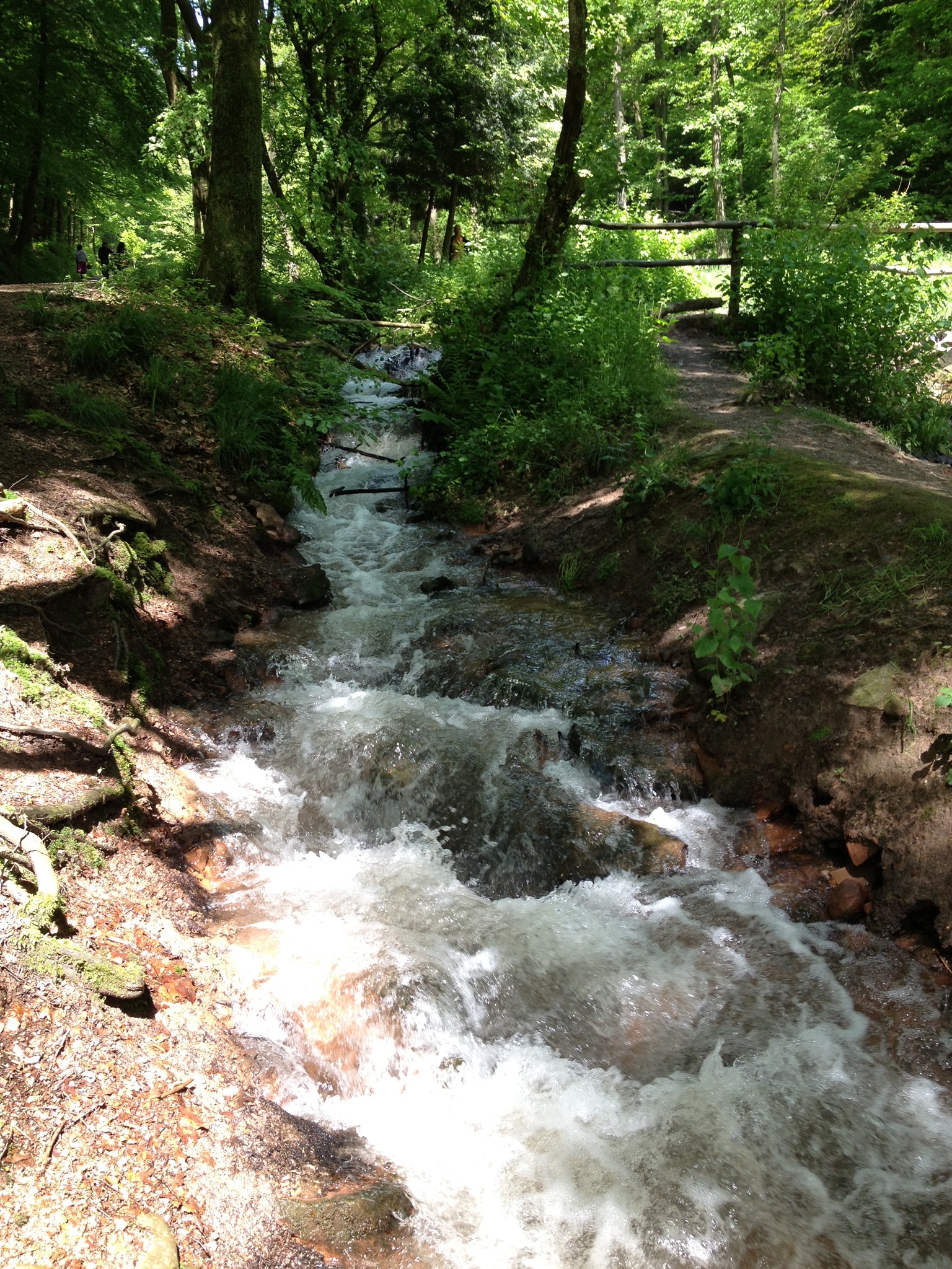 FruehlingMuehltal2