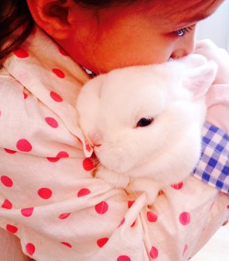 Ostern Beitragsbild