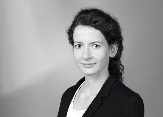 viola_rechteckig_300_klein