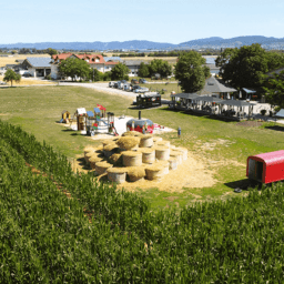 maislabyrinth